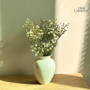 리틀캠든 왁스플라워 소형 생화 합리적인 온라인꽃집 솔직 후기 | 실사용자 리뷰 분석 - 상품 이미지 3