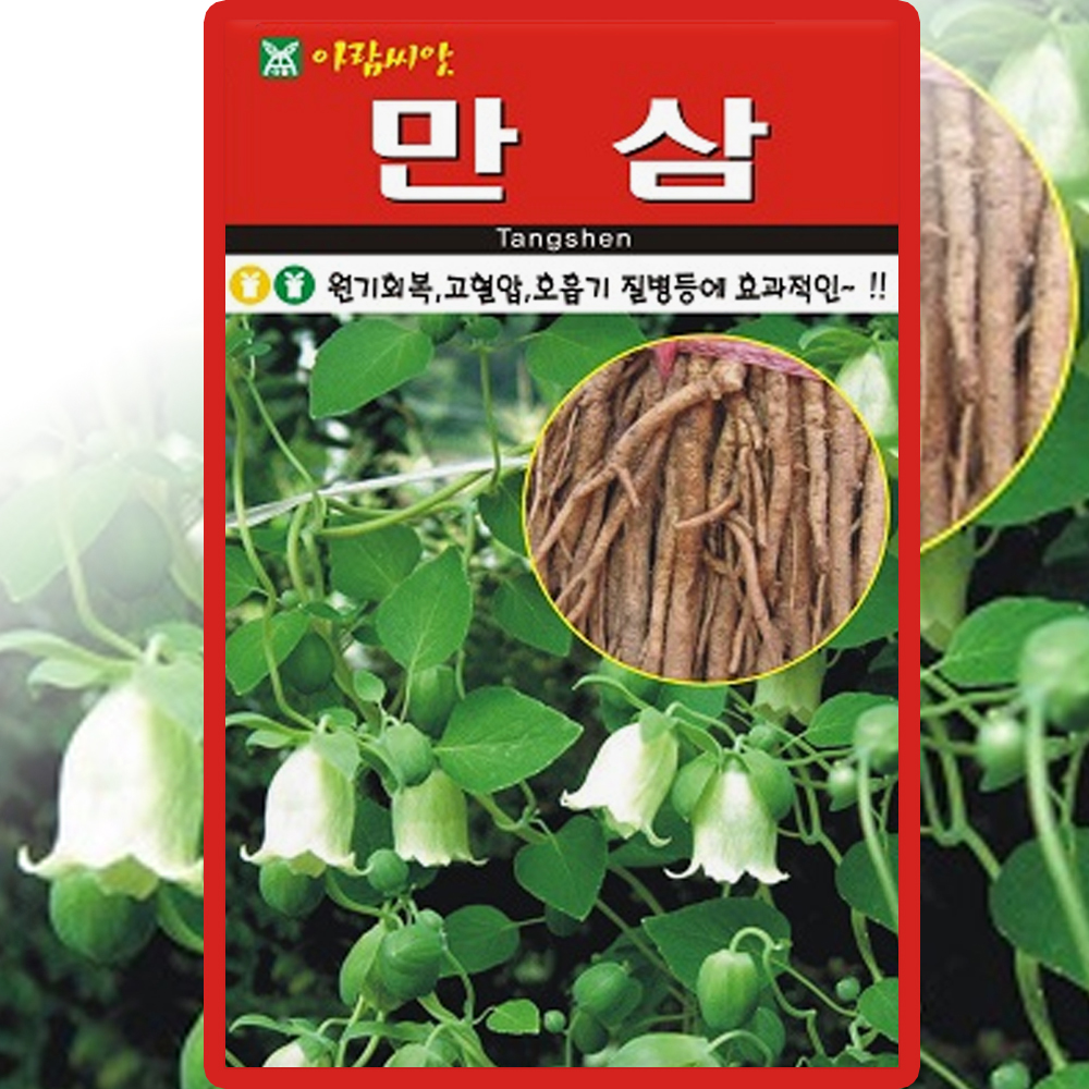 아람종묘 만삼 씨앗 1000립 당삼 씨 약초 종자 : 씨앗농장몰