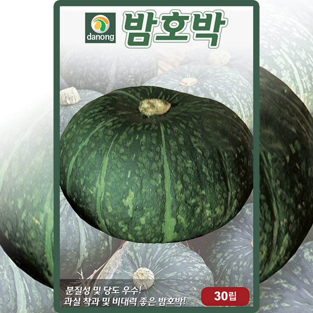다농 밤호박 씨앗 30립 단호박 씨 종자 : 씨앗농장몰