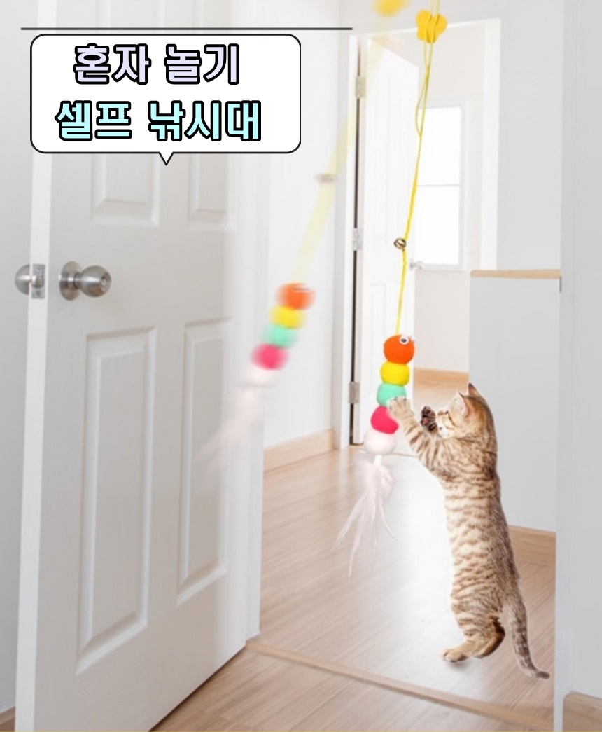 고양이천장장난감 천장형 모빌 천장에붙히는 낚시대 잠자리 붙이는 장남감 줄 지렁이 사냥 깃털 - 상세 이미지 4