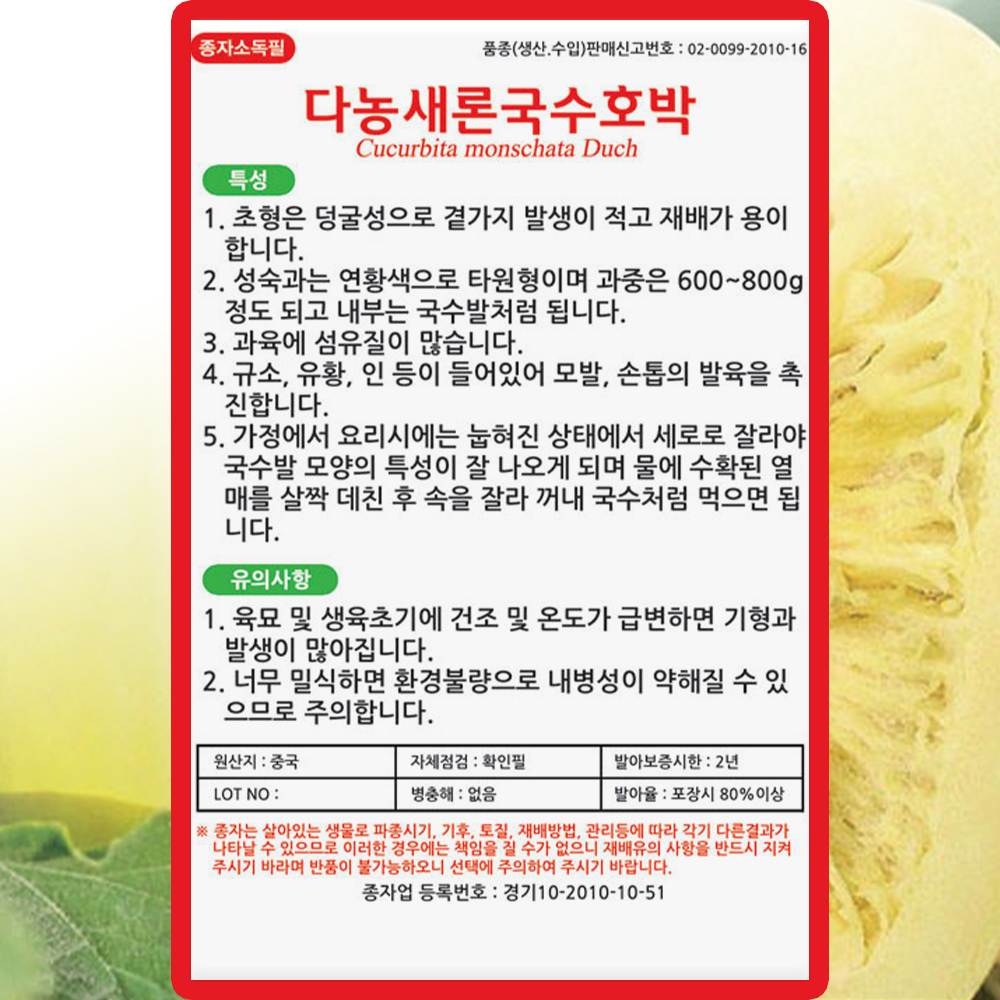 다농 국수호박 씨앗 30립 넝쿨성 국수 호박 씨 종자 : 씨앗농장몰