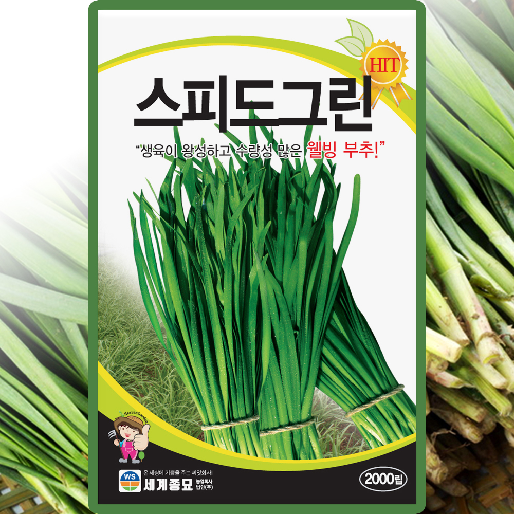 세계종묘 스피드그린 부추 씨앗 2000립 부추 씨 종자 : 씨앗농장몰