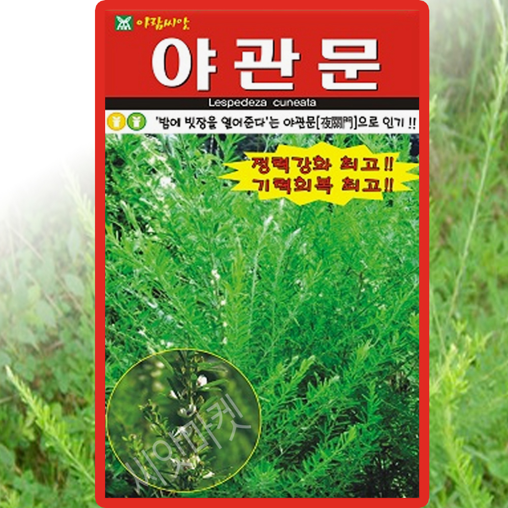 야관문 씨앗 20g 비수리 씨 대력왕 사퇴초 노우근 산채자 약초 종자 : 씨앗농장몰