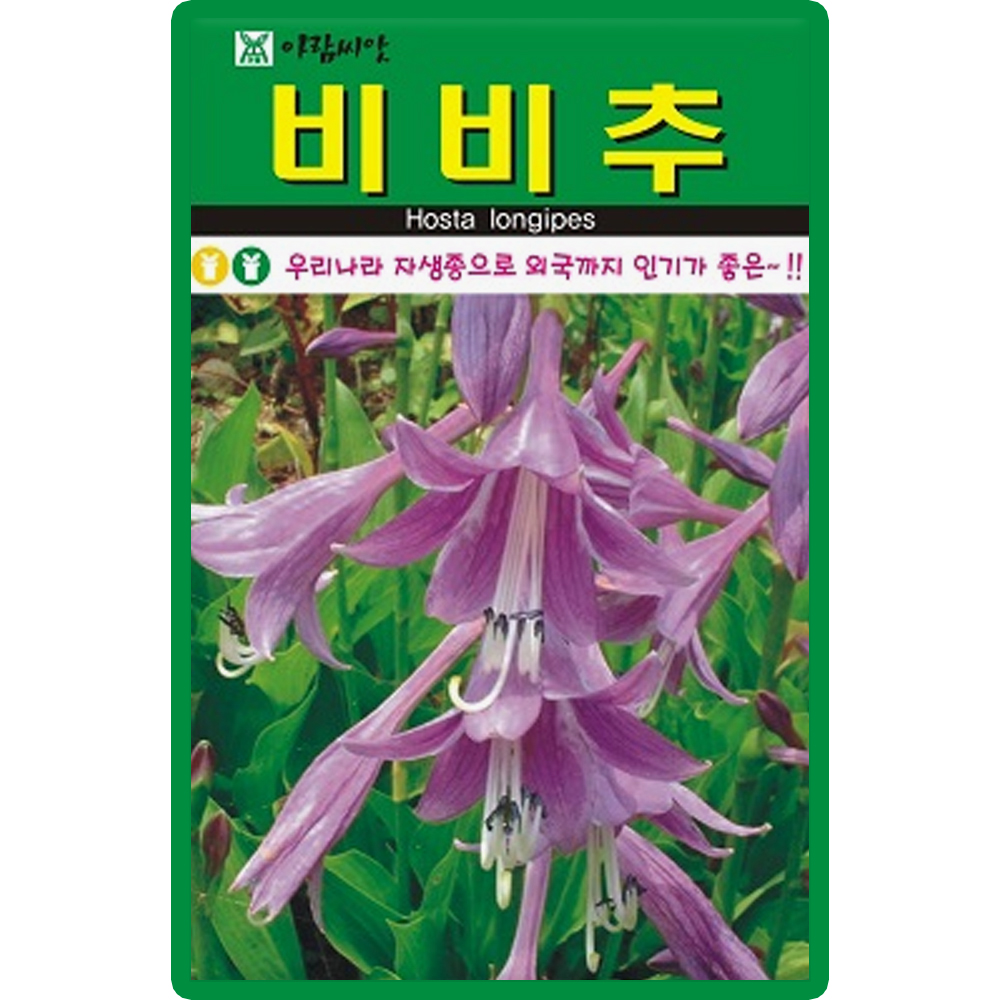 아람종묘 비비추 씨앗 20립 옥잠화 백학석 꽃 씨 호스타 옥비녀꽃 종자 : 씨앗농장몰