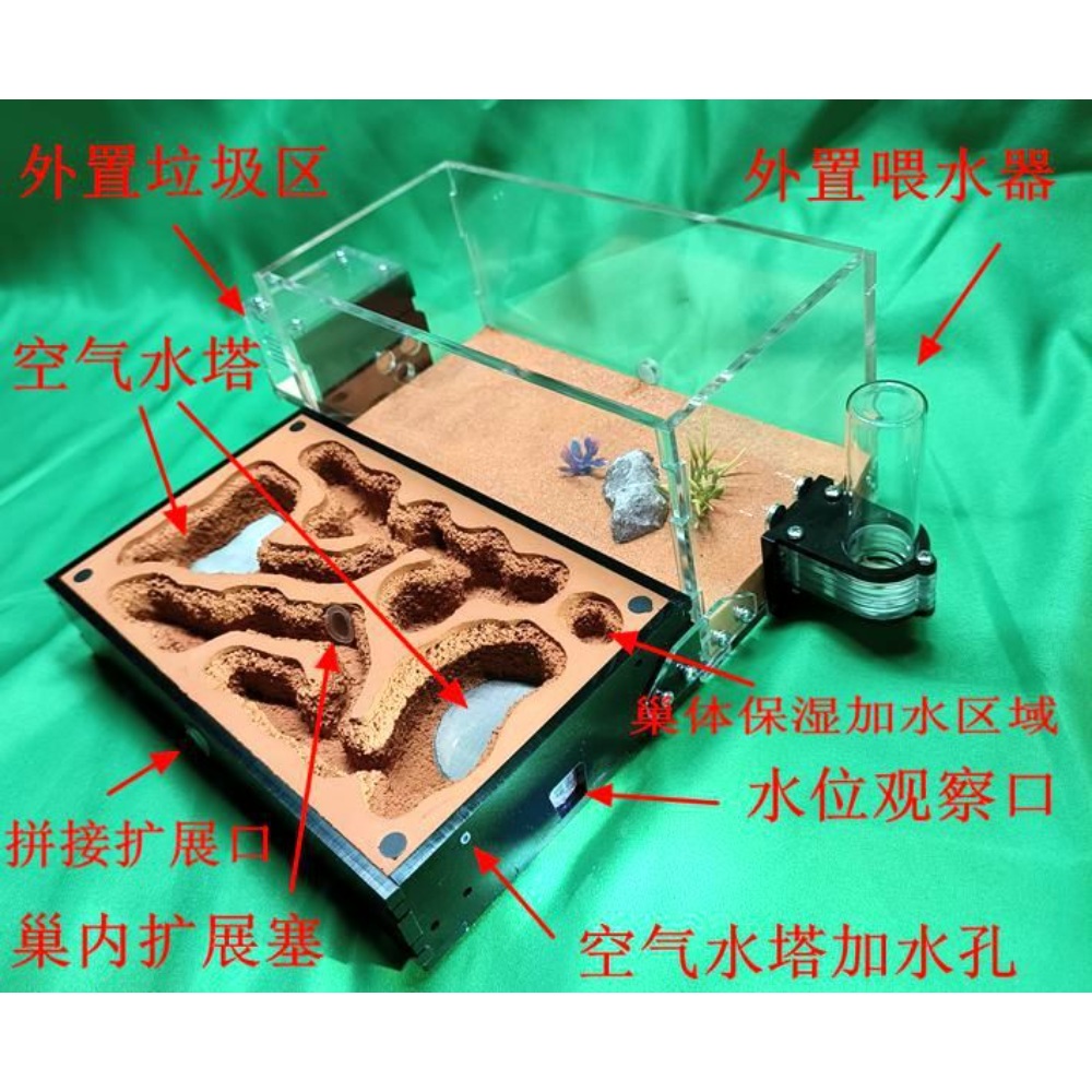 투명 개미사육장 채집통 앤트하우스 개미굴 집 - 상세 이미지 4