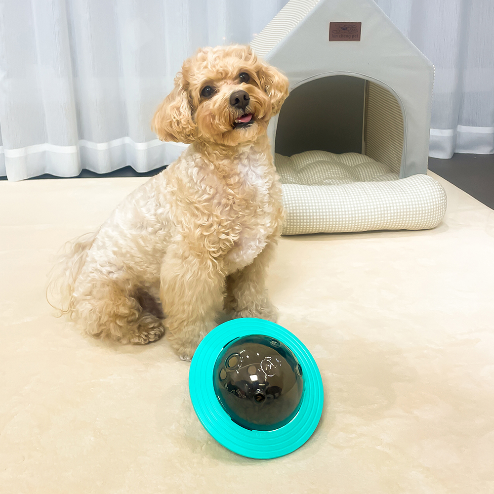 레토 강아지 장난감 노즈워크 우주선 스낵볼