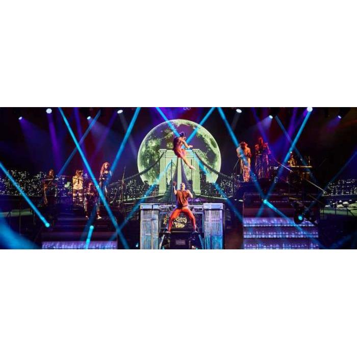 미국 라스베이거스 태양의 서커스 매드 애플 입장권