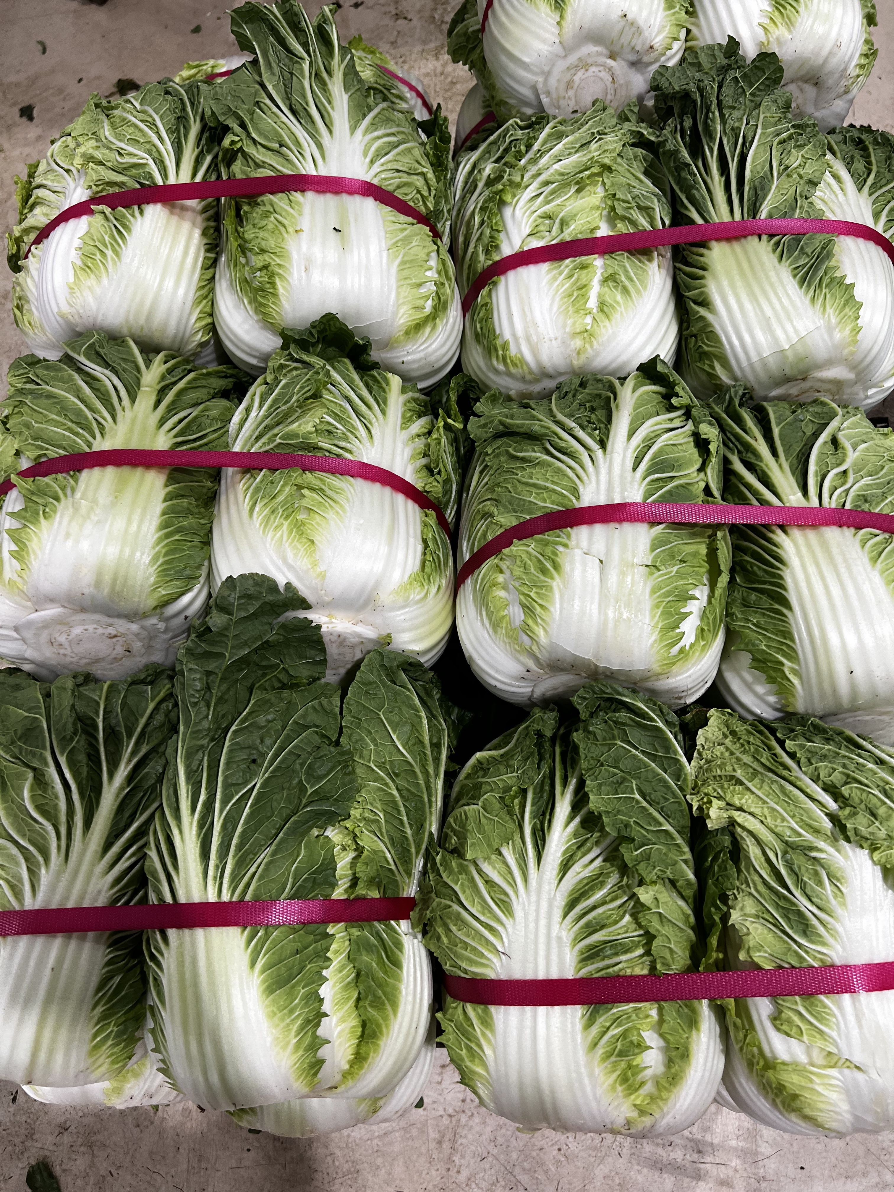 순자네김치 배추김치 젓갈 안 들어간 당일생산 국산 2kg, 1개 이미지 3