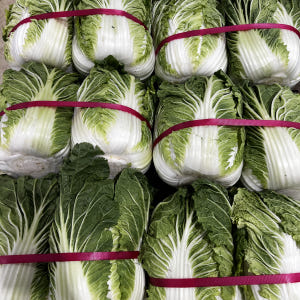 순자네김치 배추김치 젓갈 안 들어간 당일생산 국산 2kg, 1개 맛있게 먹은 솔직 후기 - 상품 이미지 3