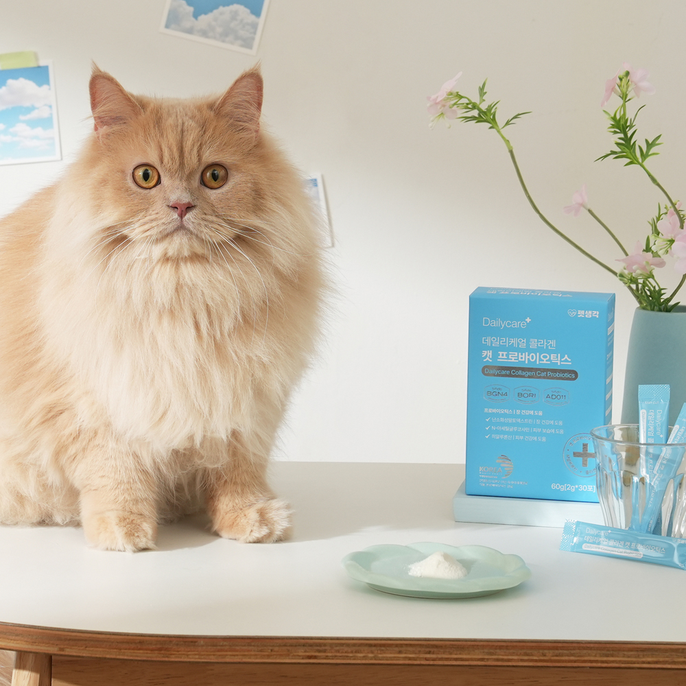펫생각 고양이 유산균 무색무향 비피더스균주 캣 프로바이오틱스 콜라겐 피부 장건강 30p