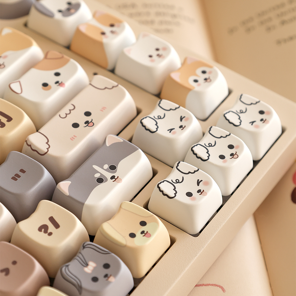 키보드 키캡 PBT 키캡 쫑긋강아지 키캡 143키 영어 키캡 키보드 키캡 후기