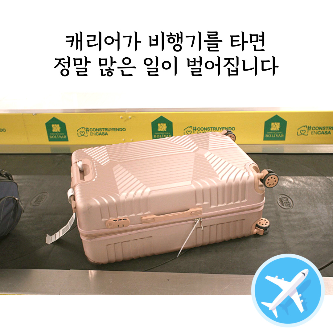 캐리어벨트 TSA 자물쇠 캐리어 스트랩 끈 도난방지 러기지벨트 DD085 - 상세 이미지 2