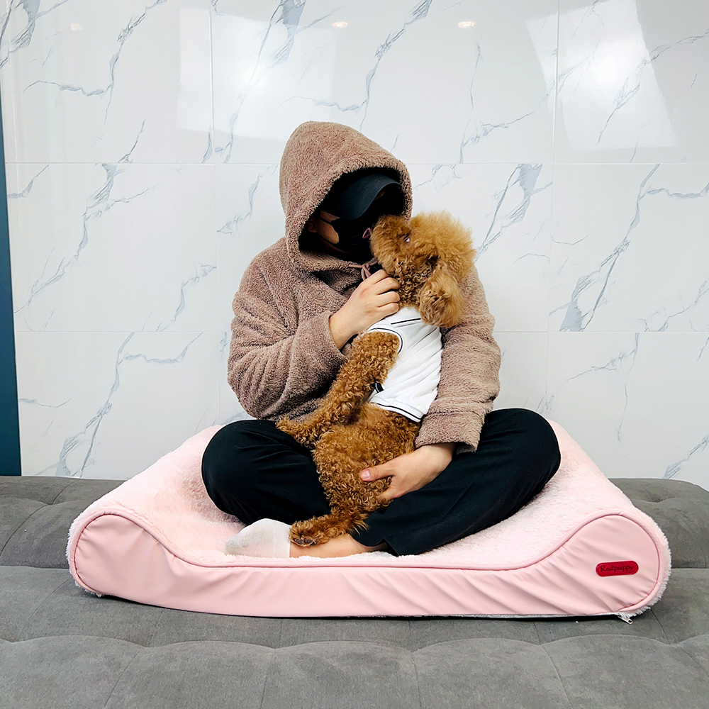 개과천선 로이 애견 강아지 방석 쿠션 쇼파 대형견 침대 고양이 용품 애완견