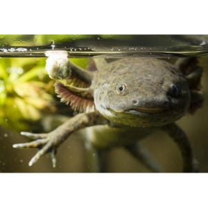 미국 플로리다 올랜도 The Wheel at Park™ + 마담 투소 또... 솔직 후기 | 실사용자 리뷰 분석 - 상품 이미지 3