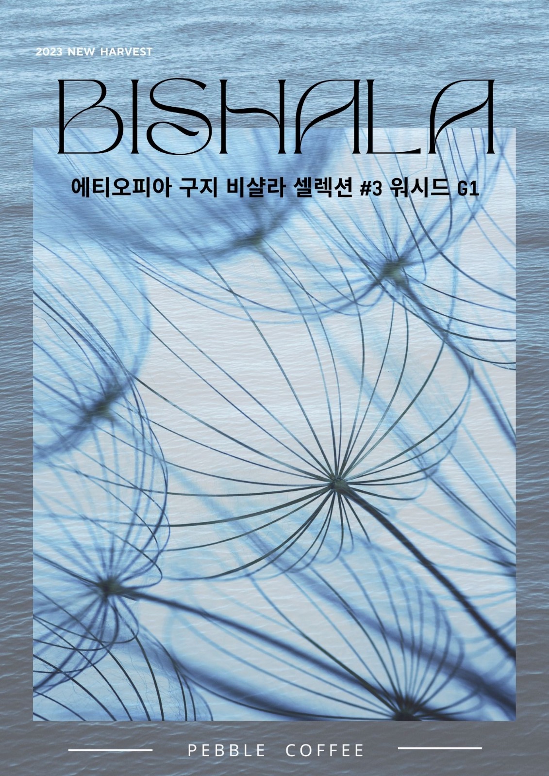 에티오피아 구지 비샬라 셀렉션 #3 워시드 G1 5KG (ETHIOPIA GUJI BISHALA SELECTION #3 WASHED G1)