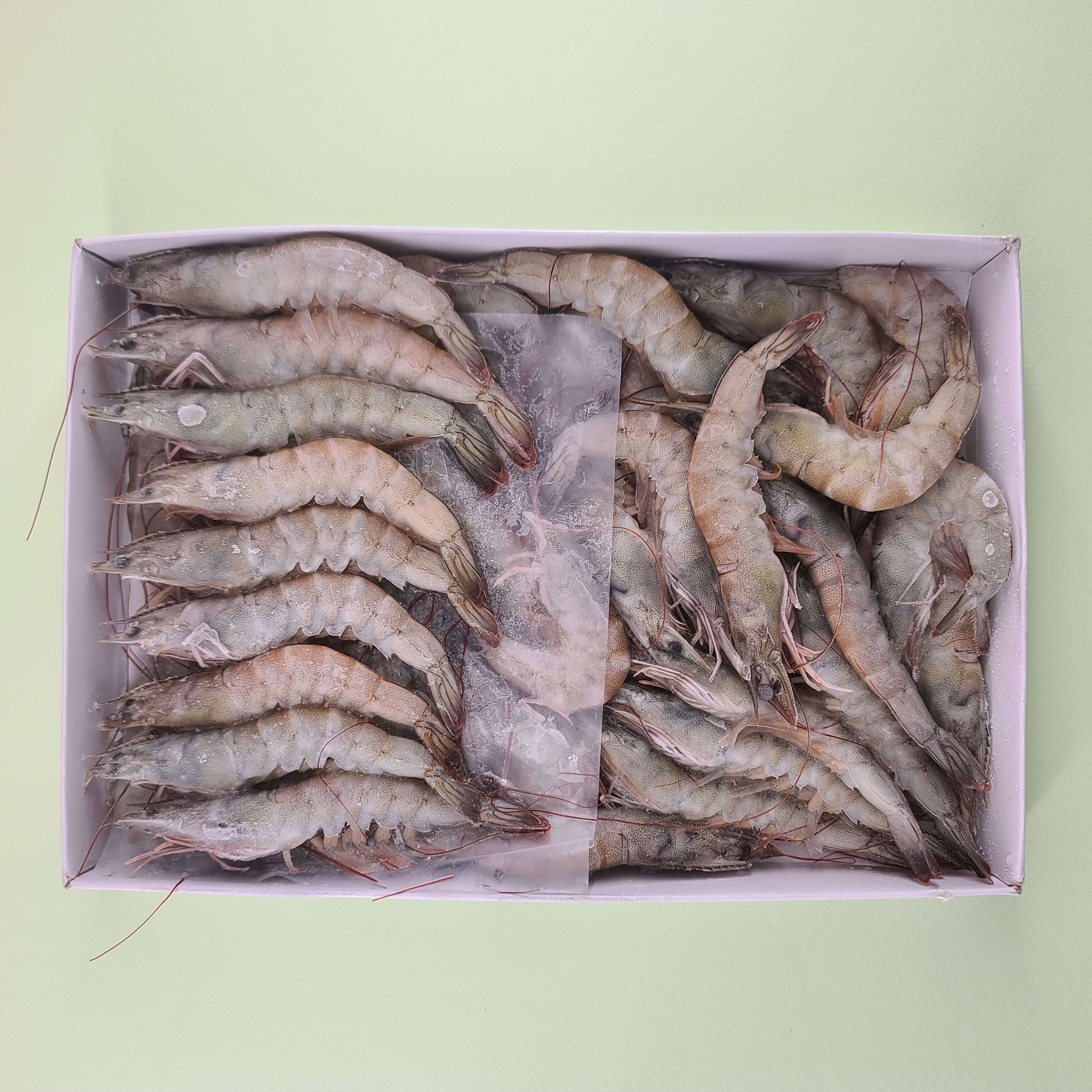 특A 흰다리새우 20미 30미 (500g) 화이트새우 소금구이새우 대하새우 중하새우