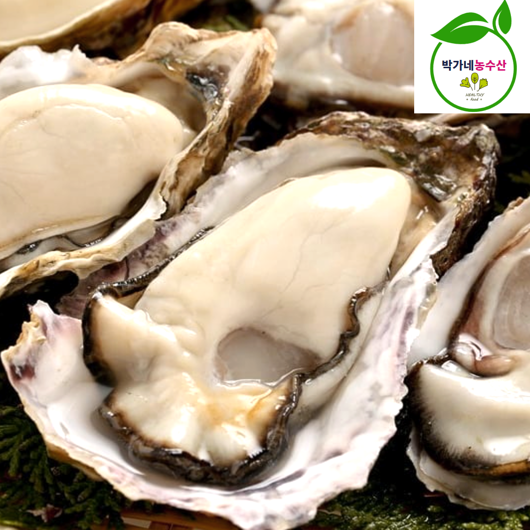 통영 굴 생굴 깐굴 산지직송 제철 1kg 석화 - 상세 이미지 5