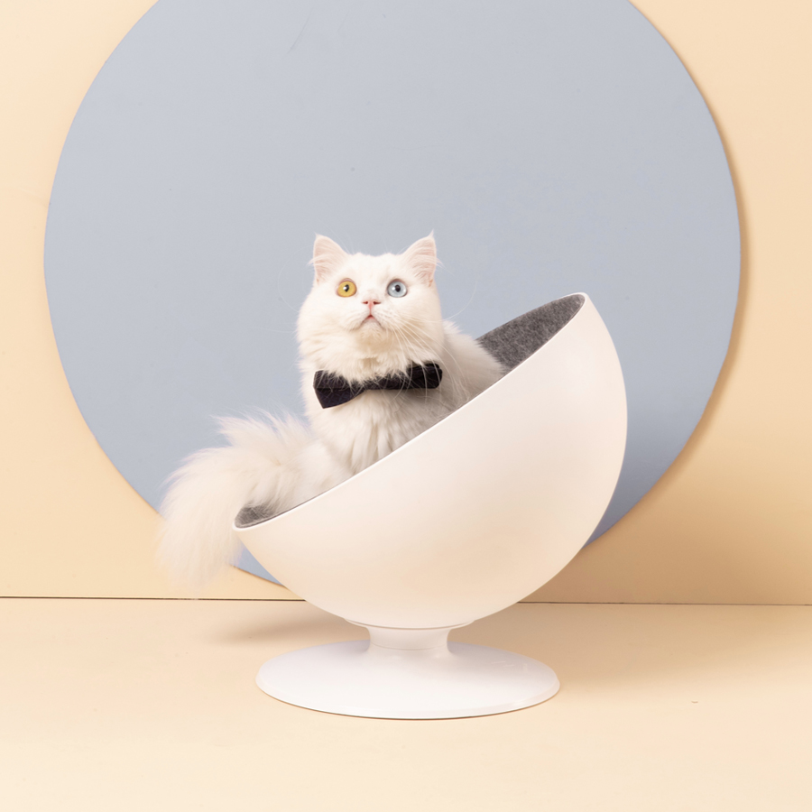 퓨리테일 고양이 강아지 회전 체어하우스