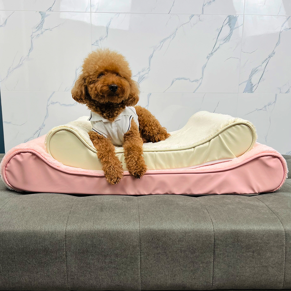 개과천선 로이 애견 강아지 방석 쿠션 쇼파 대형견 침대 고양이 용품 애완견