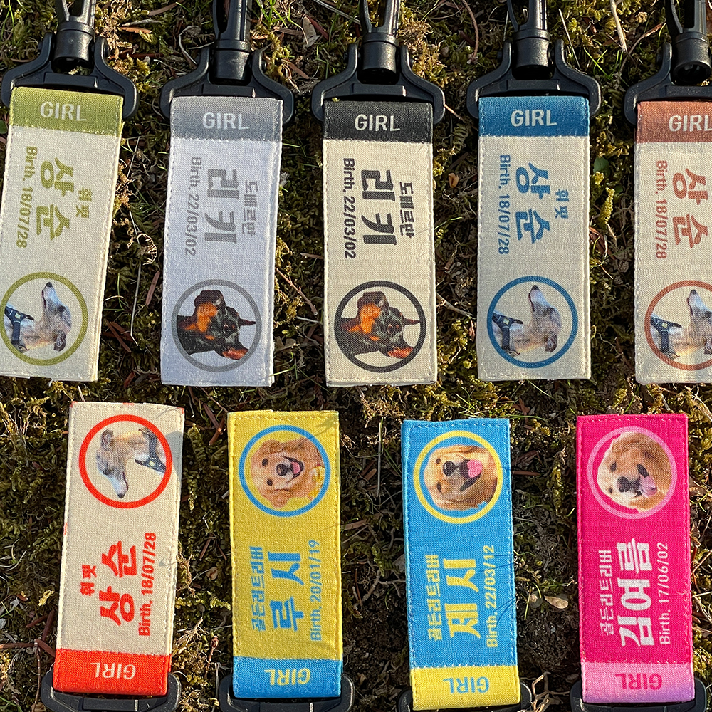 강아지네임택 대형견인식표 이름표 강아지명찰 리틀아미고 - 상세 이미지 5