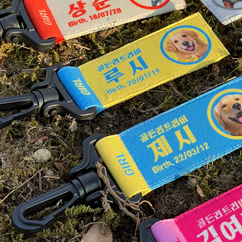 강아지네임택 대형견인식표 이름표 강아지명찰 리틀아미고 - 상세 이미지 3