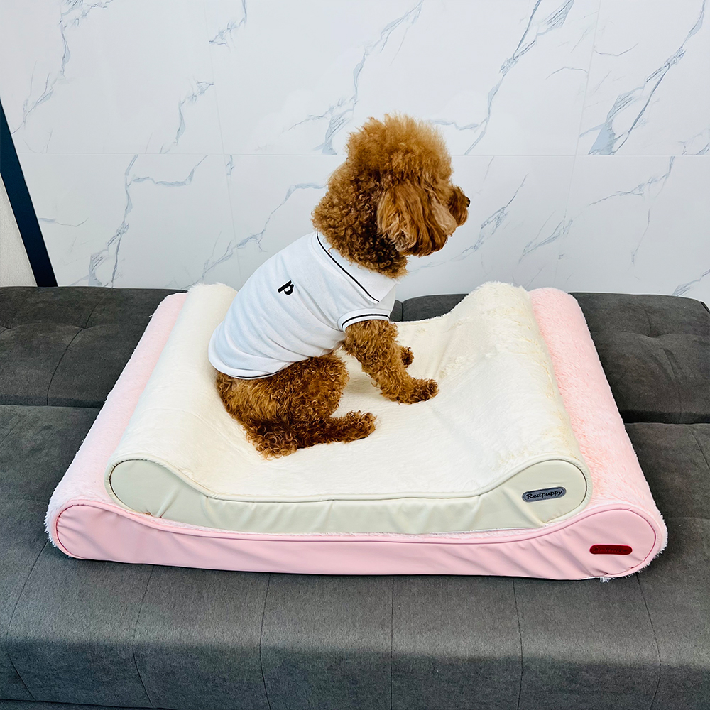 개과천선 로이 애견 강아지 방석 쿠션 쇼파 대형견 침대 고양이 용품 애완견
