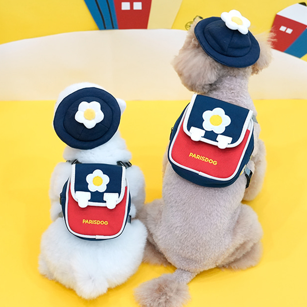 강아지 가방 하네스 백팩 이동 매는 예쁜 아카데미 백팩 하네스 세트(모자포함)