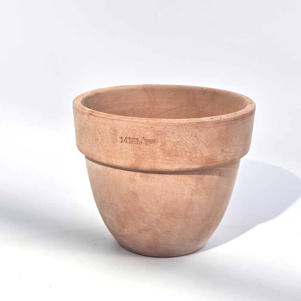 식물의정석 EV이태리토분 도토리 살구 14호