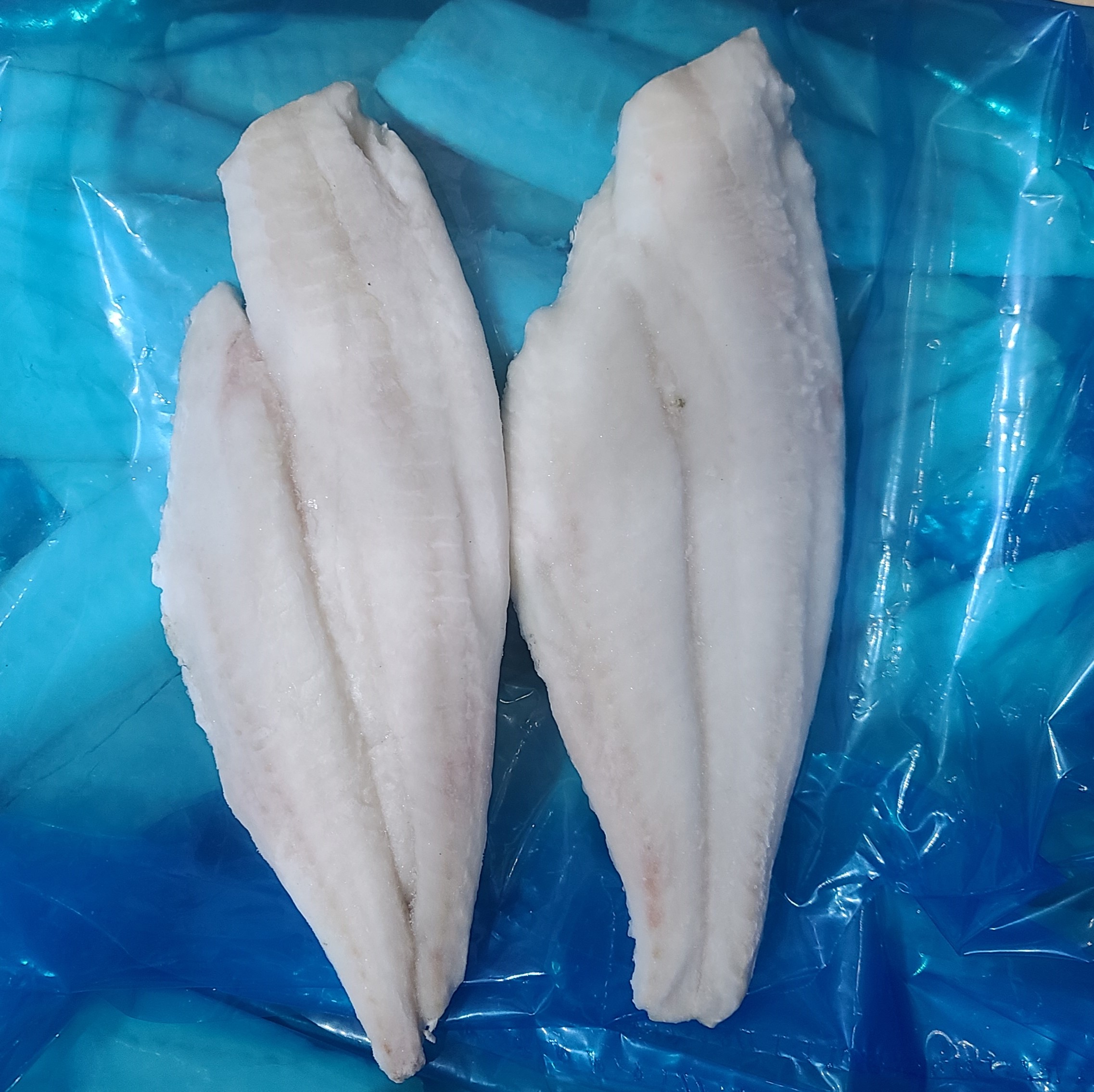 흰살생선 순살가자미 최상급 가자미 순살 이유식 필렛 생선까스 튀김 구이용 10KG