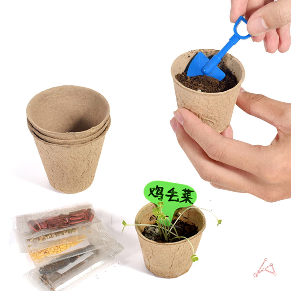 생분해화분 펄프 종이 모종 화분 육묘 컵 20개입 - 상세 이미지 2
