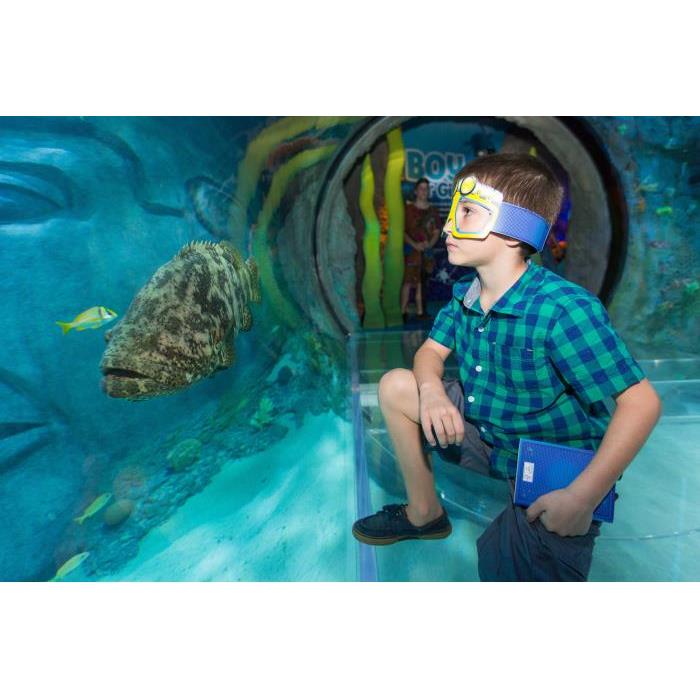 미국 플로리다 올랜도 The Wheel at Park™ + 마담 투소 또는 SEA LIFE AQUARIUM 이미지 4