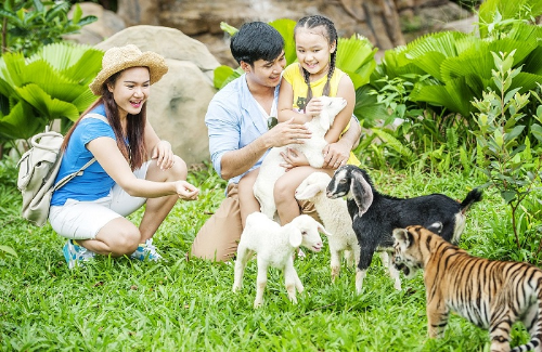 푸꾸옥 빈펄 사파리 주키퍼 투어 먹이주기 사육사 체험