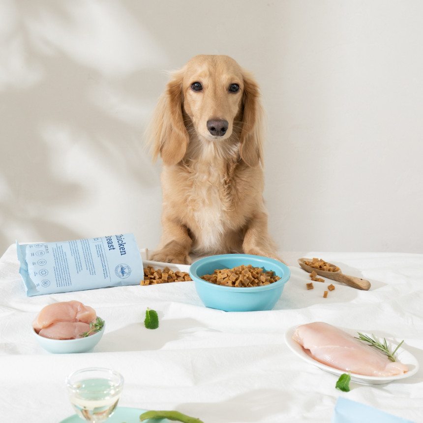 본아페티 플러스 프리미엄 기능성 수제사료 관절+다이어트, 1kg, 1개 사진 3
