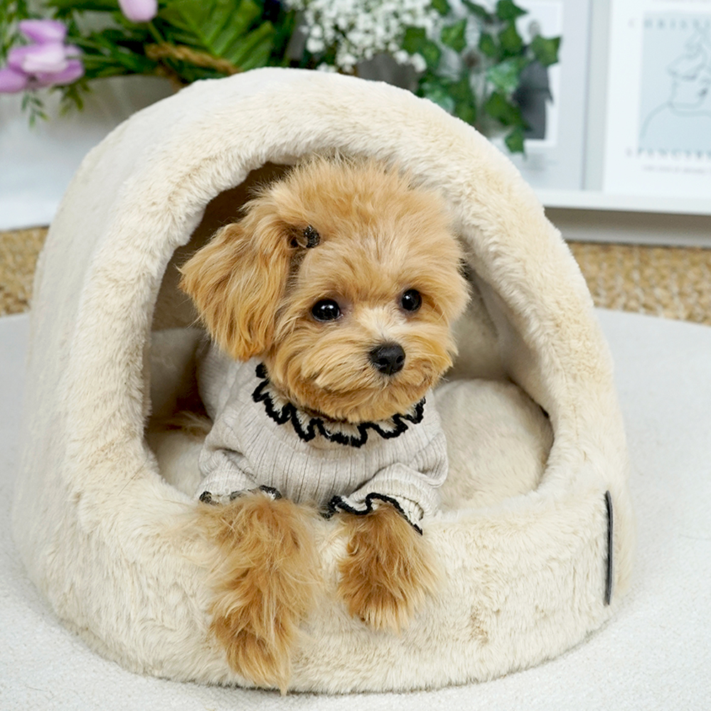 개과천선 윈터 강아지 동글이 하우스 애견 극세사 동굴집 고양이 숨숨집 논슬립 꿀잠 소형 - 상품 이미지