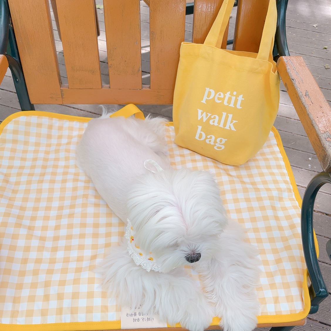 라파미유 강아지산책가방 데일리백 Yellow, S(소형) - 상세 이미지 4