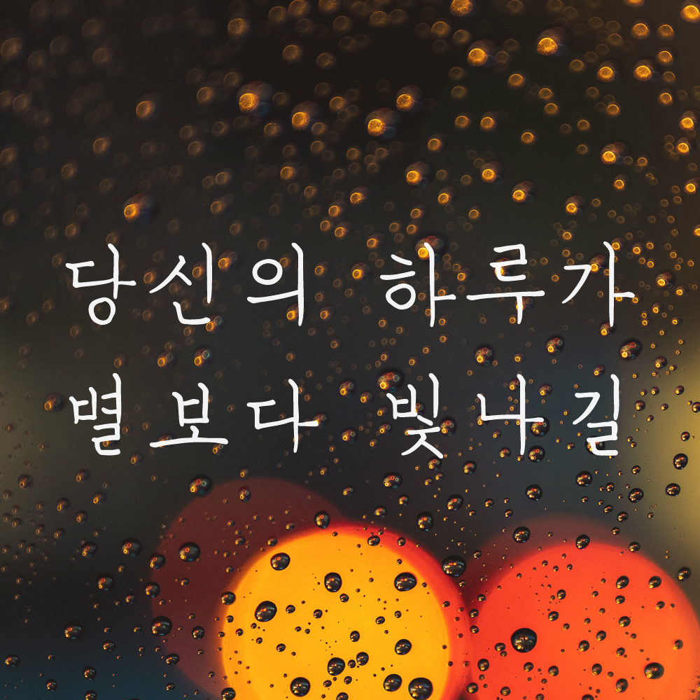 당신의 하루가 별보다 빛나길 손글씨 감성 레터링 스티커 LH-027S검정 이미지 6