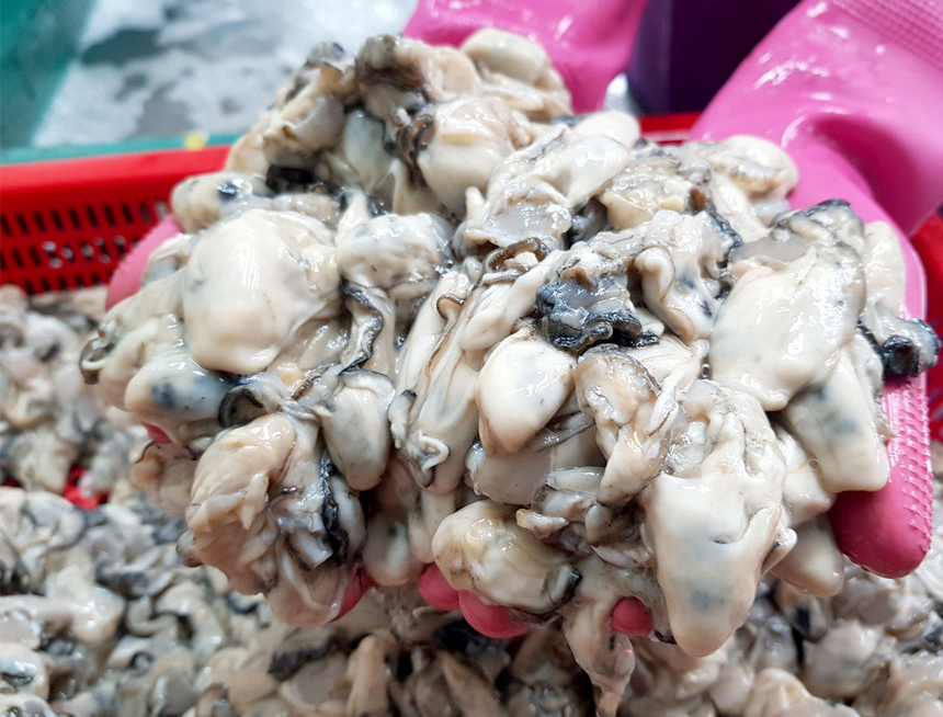 [통영직송] 매콤 생굴무침 / 당일생산 냉장배송 해와바다 - 상세 이미지 5