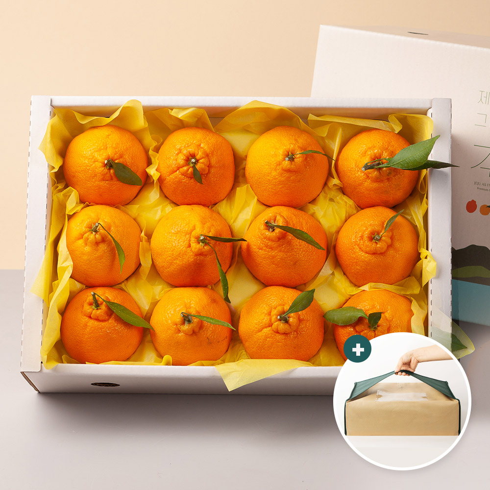 제주 한라봉 선물세트 3kg 4.5kg / 고급가방 포장 - 상품 이미지