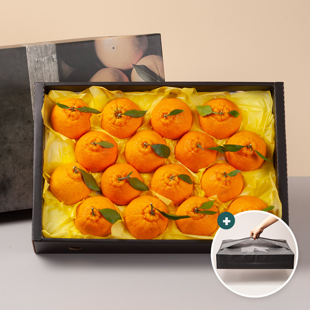제주 한라봉 선물세트 3kg 4.5kg / 고급가방 포장 - 상세 이미지 2