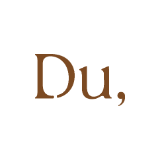 디유 스페이스 스토어 로고