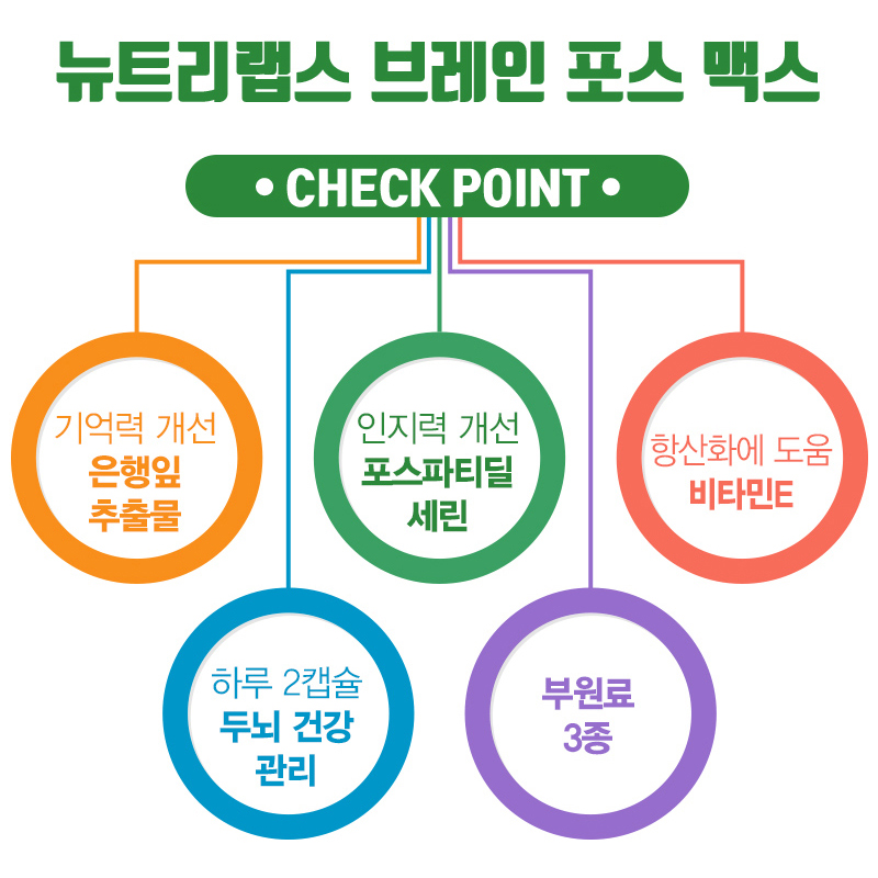 포스파티딜세린 PS 징코 은행잎 추출물 식물성 인지질 두뇌 피부 2박스 이미지 3