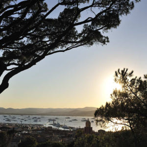 프랑스 프로방스알프코트다쥐르  Saint Tropez 및 Port Gri... 솔직 후기 | 실사용자 리뷰 분석 - 상품 이미지 2