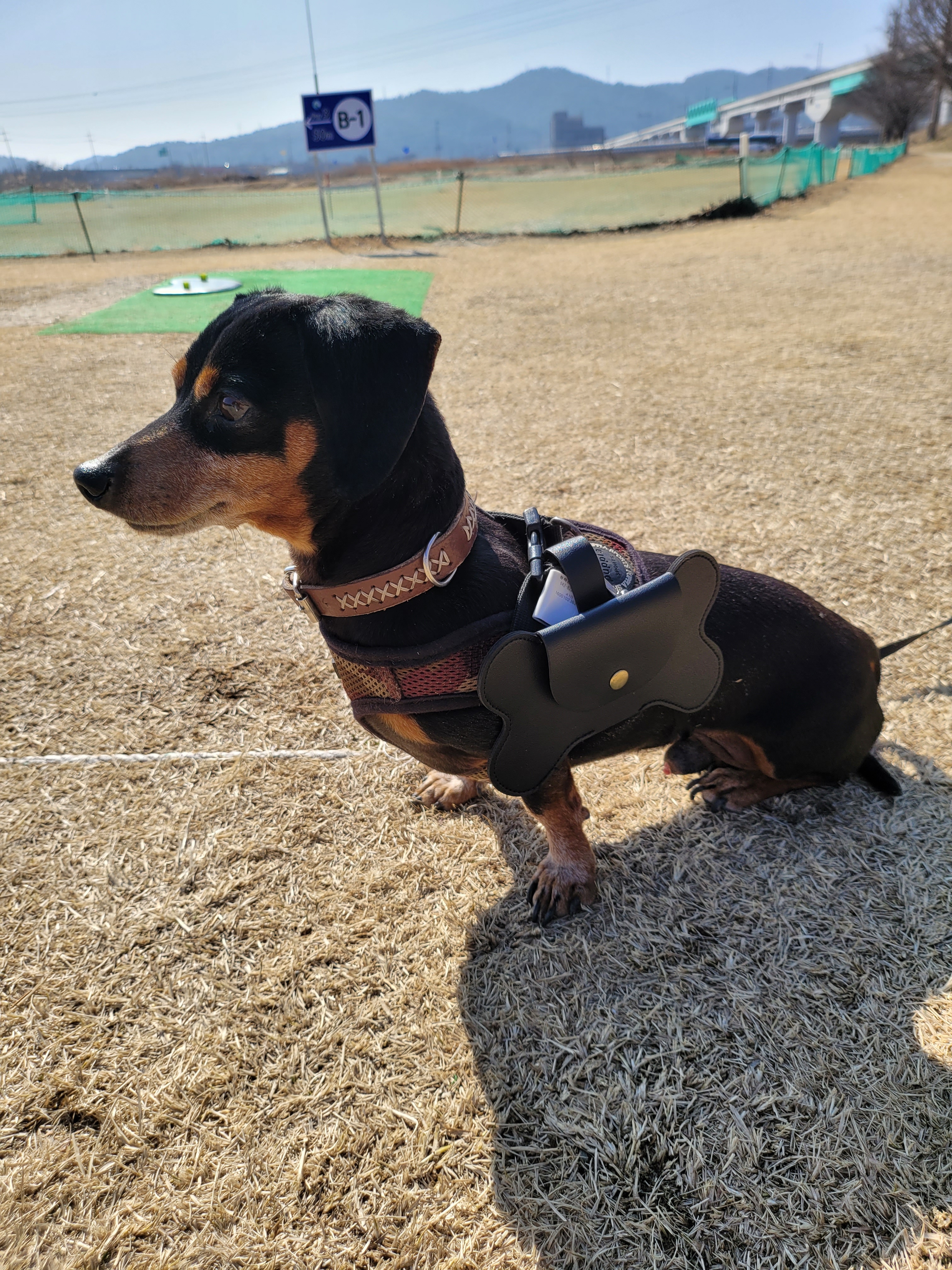 강아지 가죽 풉백파우치 방수 똥츄 배변봉투 케이스 강아지 애견 용품 이미지 6