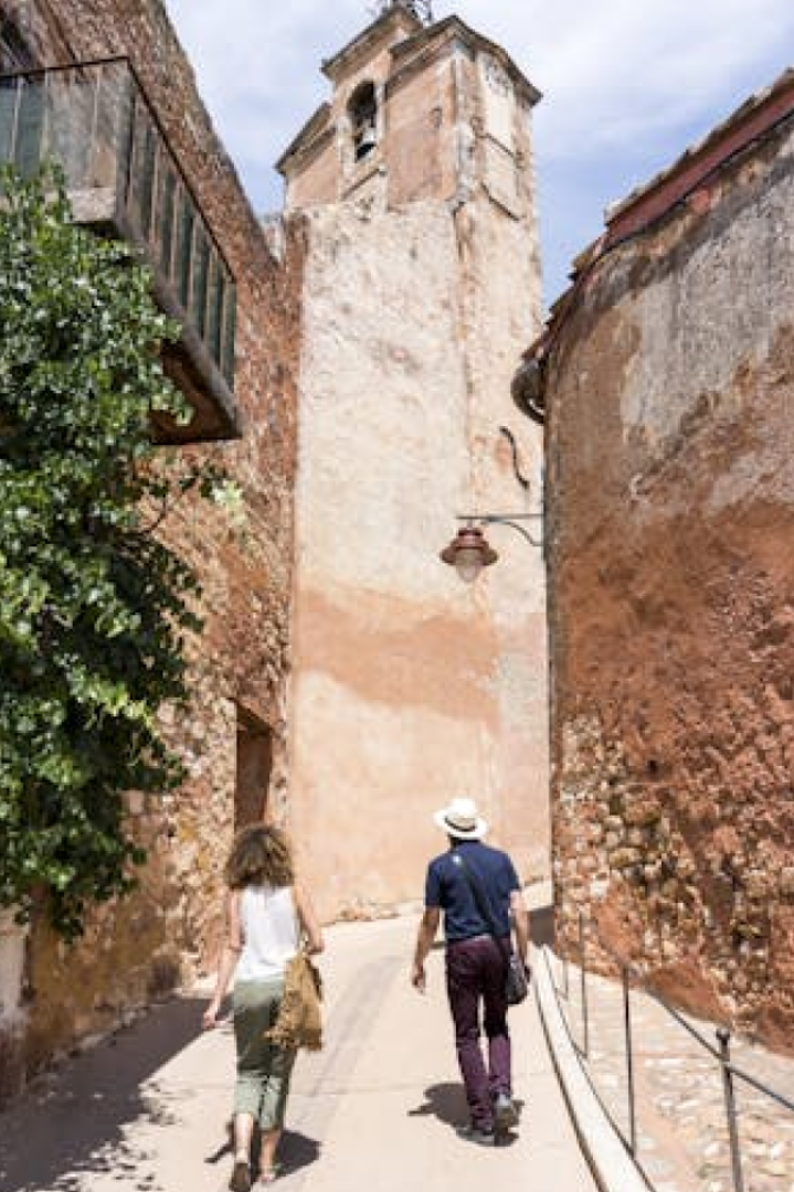 프랑스  아비뇽 남프랑스 뤼베롱 마을 반일투어 (아비뇽 출발)