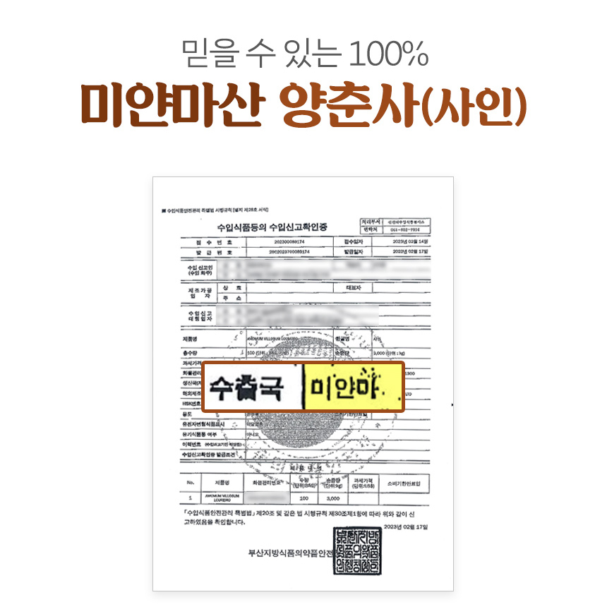 양춘사 사인 차 100% 미얀마 삼각 티백 50티백 식약처 해썹 - 상세 이미지 4