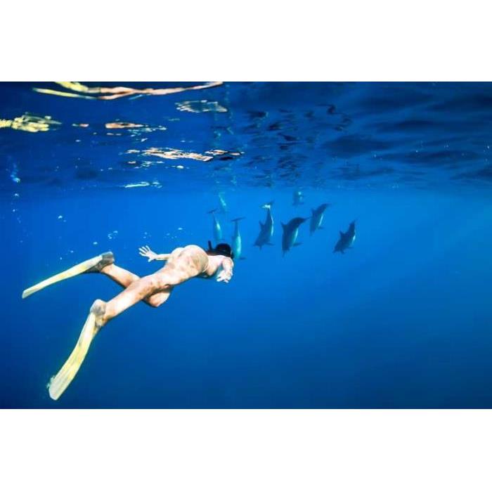 미국 하와이 오아후 호놀룰루 출발 와이키키 거북이 스노클링 투어 & 30피트 점프