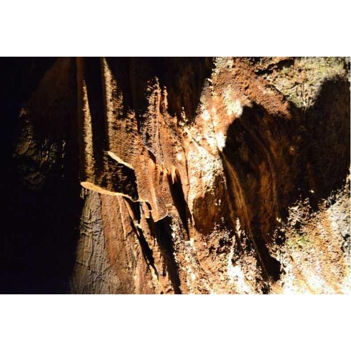 스페인 발렌시아에서 출발 쿠에바스 데 산호세로 떠나는 프라이빗 반나절 여행