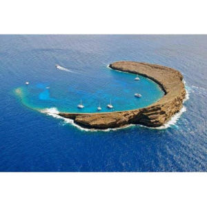 미국 하와이 마우이 점심과 함께 몰로키니 스노클링 & 퍼포먼스 세일 솔직 후기 | 실사용자 리뷰 분석 - 상품 이미지 1