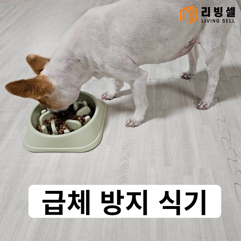리빙셀 강아지 고양이 애견 급체 방지 식기