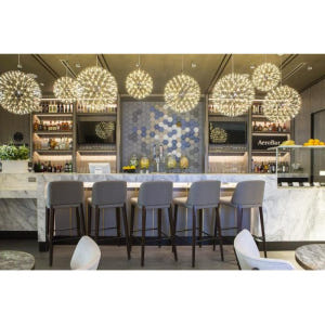 미국 텍사스 댈러스 포트워스 국제공항 플라자 프리미엄 라운지 솔직 후기 | 실사용자 리뷰 분석 - 상품 이미지 3